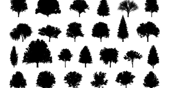 various types of trees