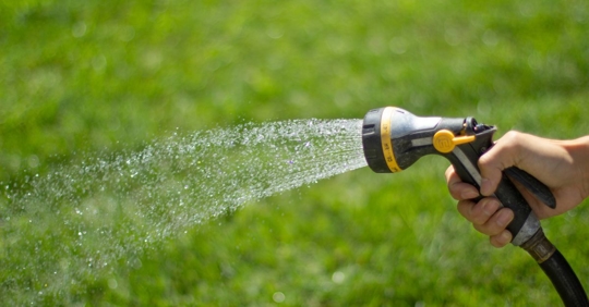 watering lawn