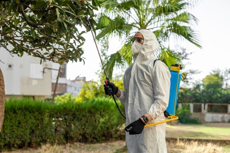 pest control spraying