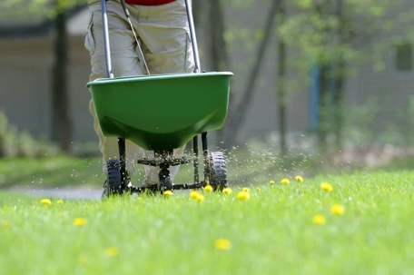 fertilizing a lawn