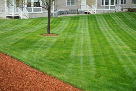 lawn care
