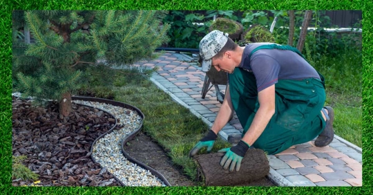 commercial landscaping