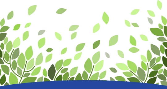 Cartoon branches & leaves