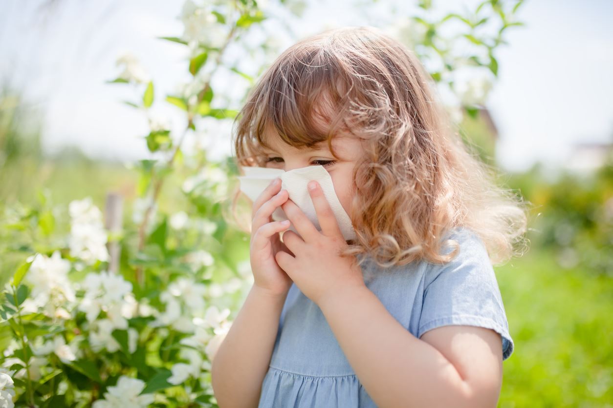 How Do Pests Impact Your Allergies?
