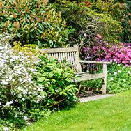 Yearly Service Options